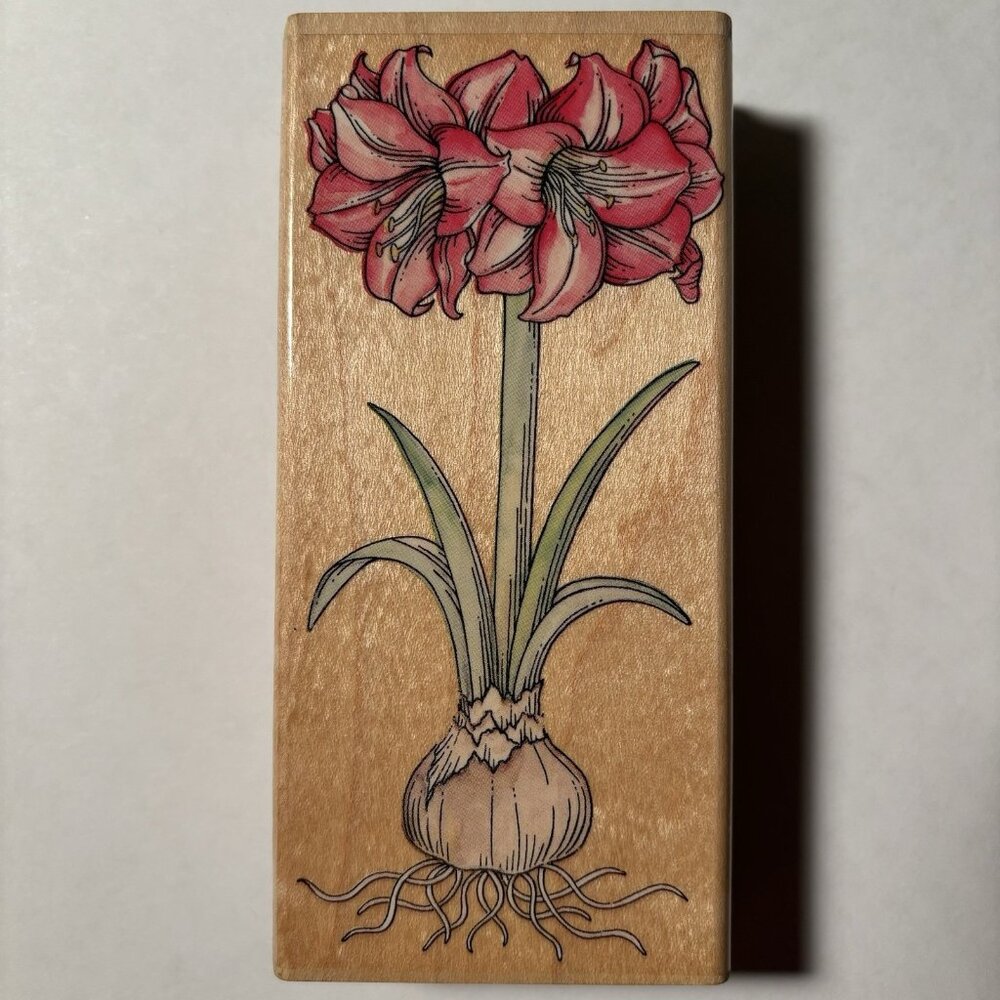 Rubber Stampede Wood Mounted Stamp Amaryllis Flower Floral Art Image Garden